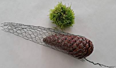 Cone Gnomes 2
