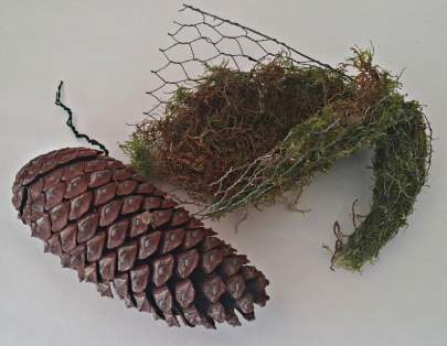 Cone Gnomes 3