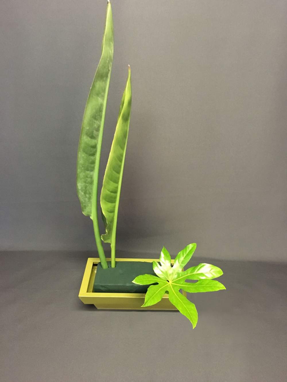 TROPICAL PARADISE European Style of Design – Form Linear