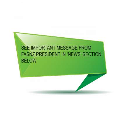 Important Msg flag