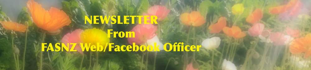 Website Officer's Newsletter - September 2018