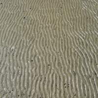 Sand patterns IMG_4169