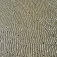 Sand patterns IMG_4169