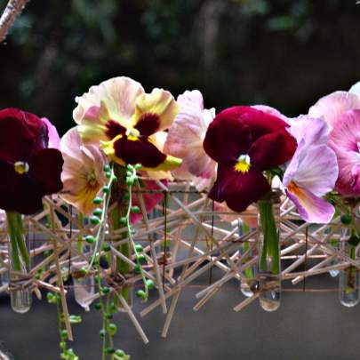 Shop Banner image 2_resize