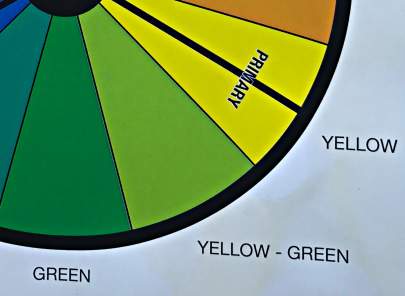 Yellow- Green Segment