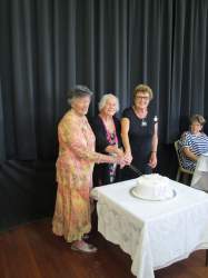Cake Cutting
