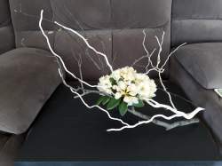 10 Bernadette OReilly