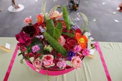 11 IMG_0192