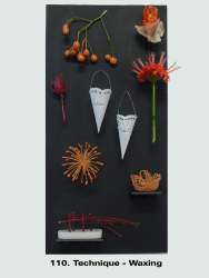 110 Waxing