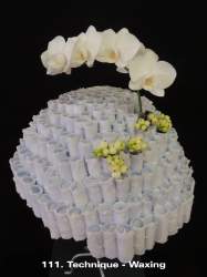 111  Waxing