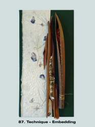 87  Techniques - Embedding