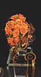 'Burnished Beauty'   Jeannette Hudson