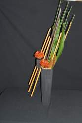 DOY Open Liz Chapman 1st and Colour award