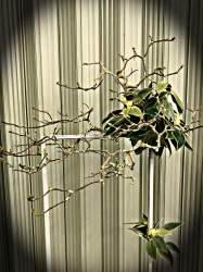 Design by Anita Woodworth