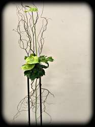 Design by Wendy Hellas