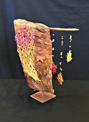 Intermediate Class 1st place Sue Armstrong
