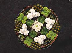 'Nature's Jewels'   Clare Thompson