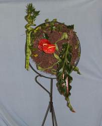Best Use Foliage - Jackie Ryan