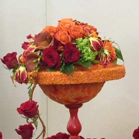 Designer of the Year