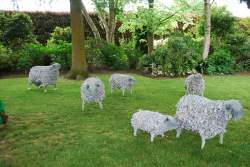 Wairoas Rural Sheep - The sheep have been made with dried Hydrangea flowers